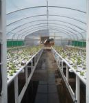 Biospheric Project